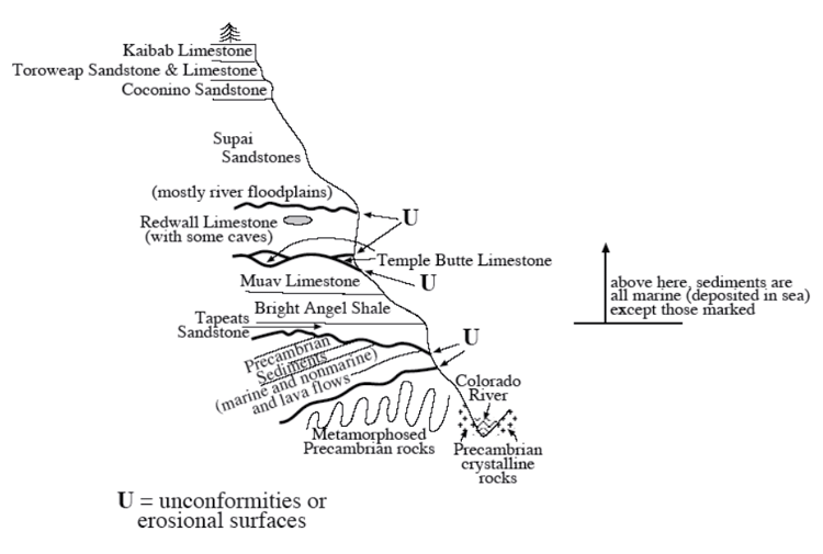 Diagram showing the rock units exposed in the walls of the Grand Canyon, and the erosional surfaces (called unconformities) that separate some of the rock units.